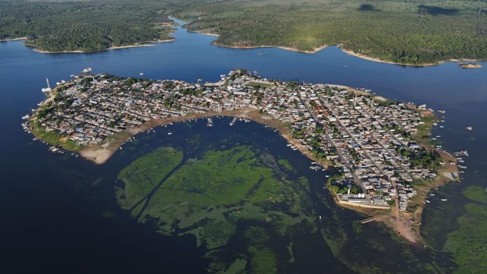 WhatsApp Image 2025-02-12 at 11.52.02