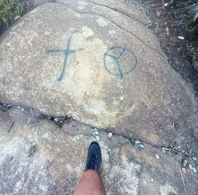 WhatsApp Image 2025-02-17 at 12.15.53