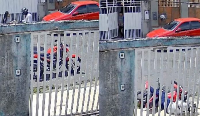 WhatsApp Image 2025-02-17 at 13.51.46