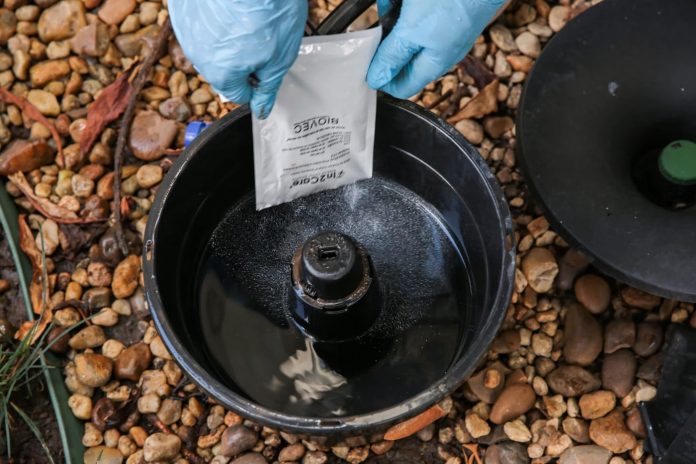 WhatsApp Image 2025-02-20 at 16.37.17