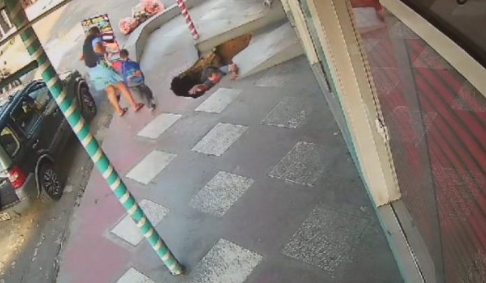 WhatsApp Image 2025-02-22 at 10.42.14