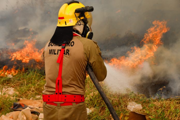 WhatsApp Image 2025-02-25 at 13.56.11 (2)