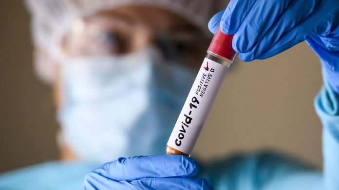 WhatsApp Image 2025-03-06 at 08.44.13