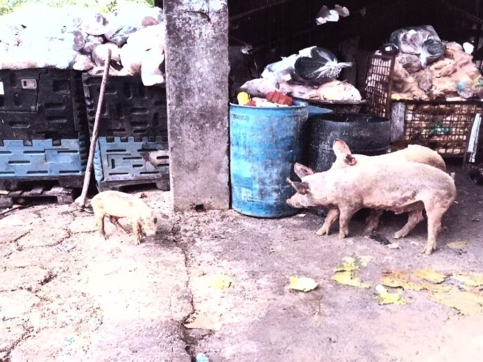 WhatsApp Image 2025-03-13 at 16.31.16