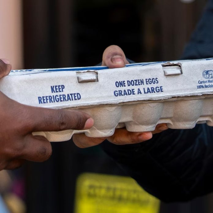 WhatsApp Image 2025-03-29 at 10.41.40