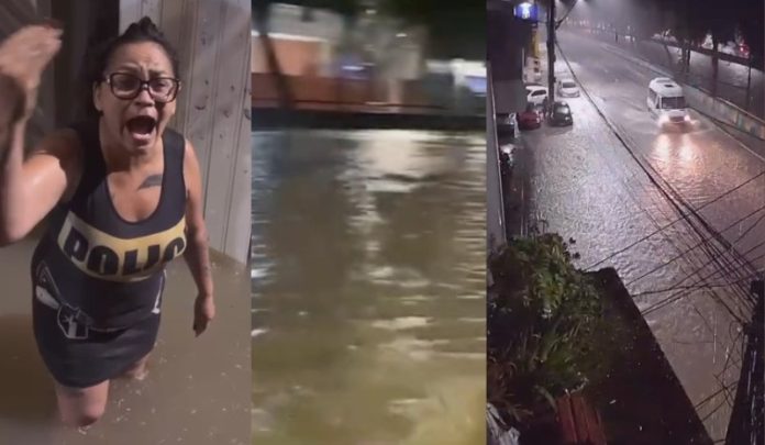 WhatsApp Image 2025-03-31 at 09.57.19