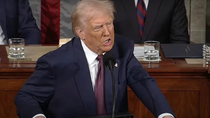 WhatsApp Image 2025-03-31 at 15.29.04