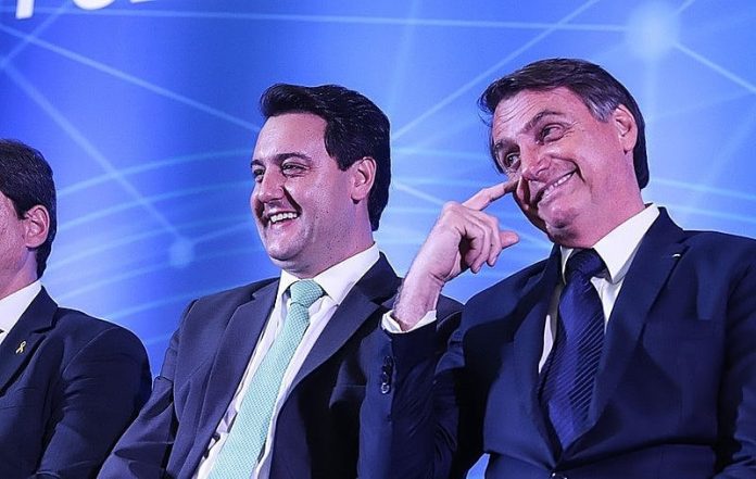 image_processing20230802-15448-1m9o988