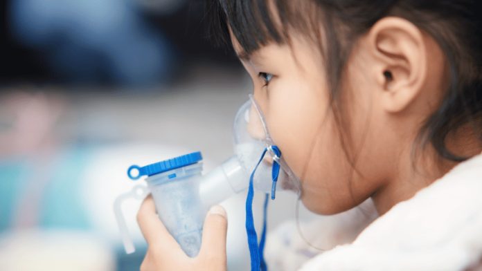 Imagem do WhatsApp de 2025-04-14 à(s) 10.47.59_36a2e0ad