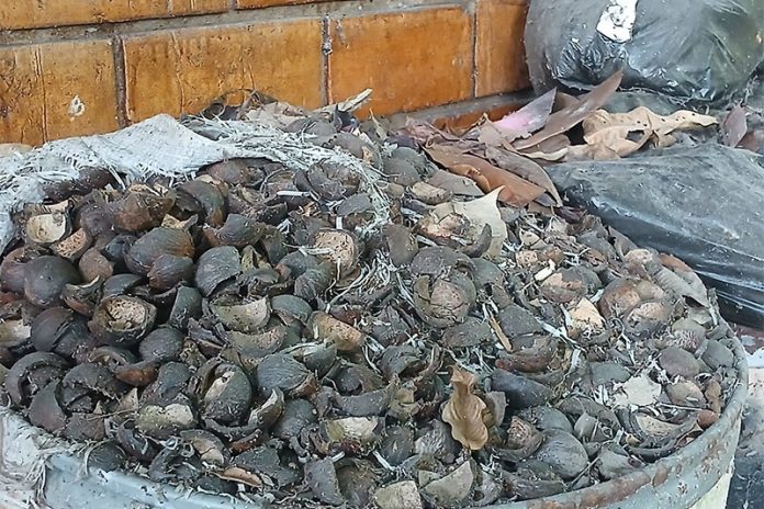 WhatsApp Image 2025-04-19 at 10.09.41