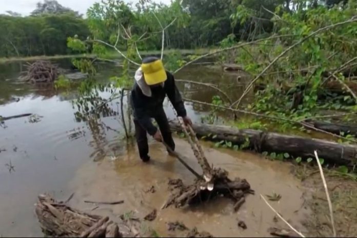 WhatsApp Image 2025-04-22 at 09.46.43