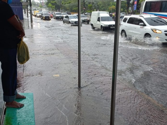 WhatsApp Image 2025-04-24 at 17.53.20