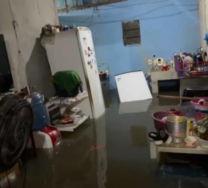 WhatsApp Image 2025-04-28 at 11.04.41