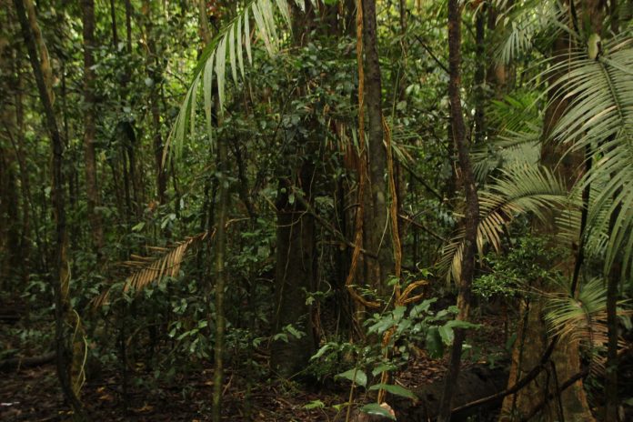 a898284d-2377-4296-910a-24a89fbb8c04