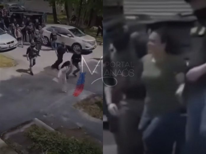 Imagem do WhatsApp de 2025-05-12 à(s) 16.56.12_54da4608