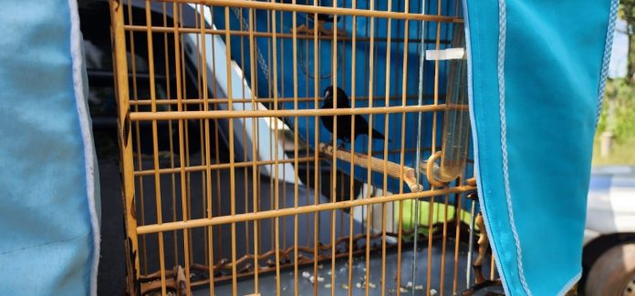 Imagem do WhatsApp de 2025-05-19 à(s) 08.41.53_445661cf