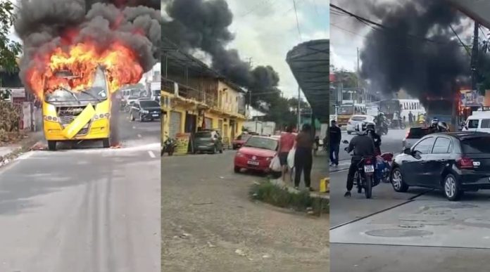 WhatsApp Image 2025-05-12 at 12.14.14