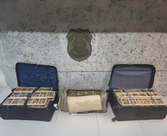 WhatsApp Image 2025-05-17 at 08.48.45