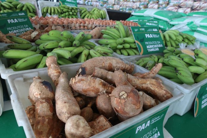 WhatsApp Image 2025-05-22 at 11.33.30 (1)