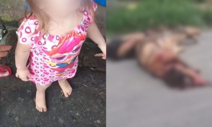 WhatsApp Image 2025-05-23 at 11.35.51