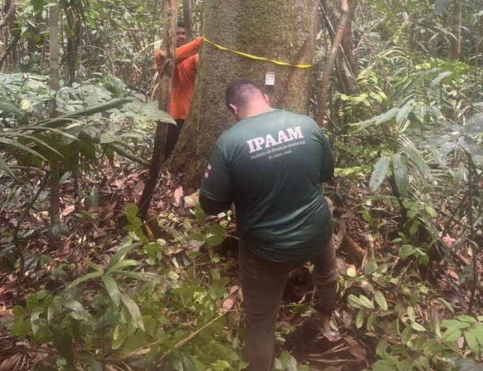 periodo-de-protecao-ambiental-1-2-e1747315678203