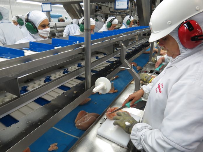 ANPR_Parana-bate-recorde-na-producao-de-frango_01011980001 (1)