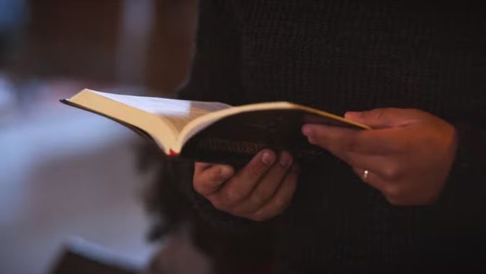 Imagem do WhatsApp de 2025-06-09 à(s) 09.00.08_4997abd3