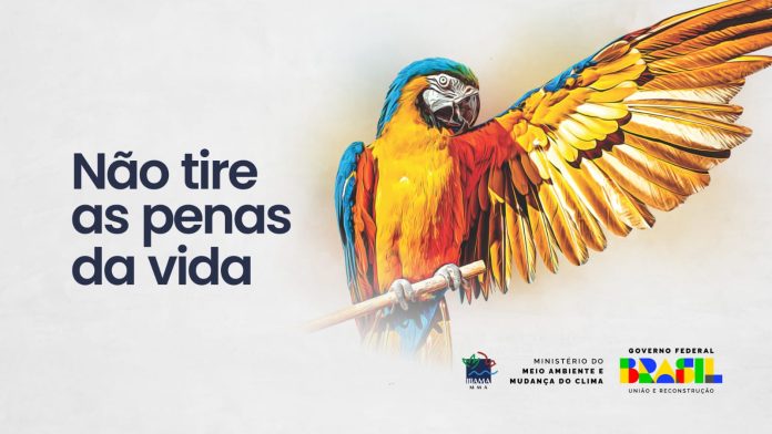 Imagem do WhatsApp de 2025-06-18 à(s) 11.33.28_347e967d