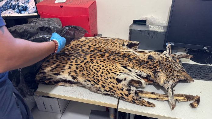 Imagem do WhatsApp de 2025-06-23 à(s) 12.04.23_bfe5c3b7