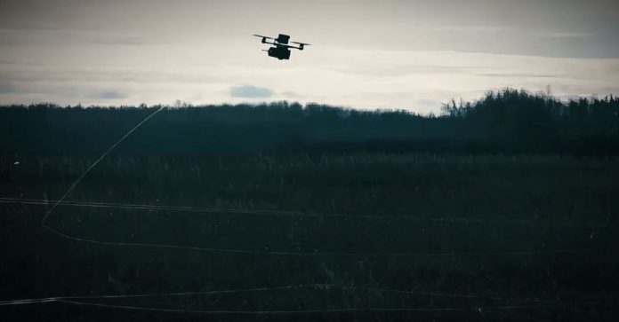 WhatsApp Image 2025-06-02 at 13.55.23