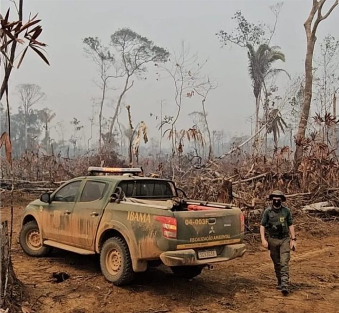 Divulgação - Ibama