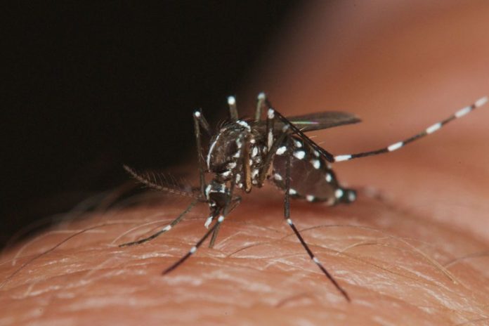 ba10a199-1218-4a53-bf65-61835f6a5239