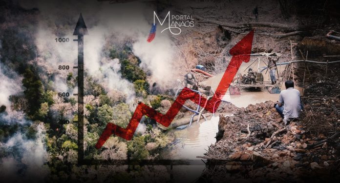 capa estudo amazonia