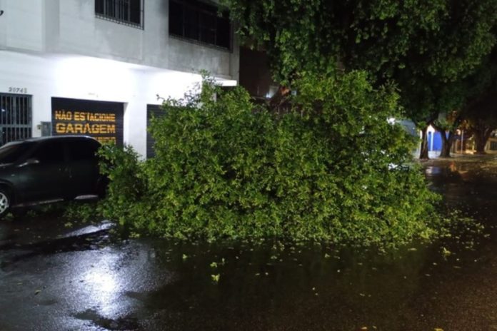 WhatsApp Image 2025-08-11 at 12.47.46