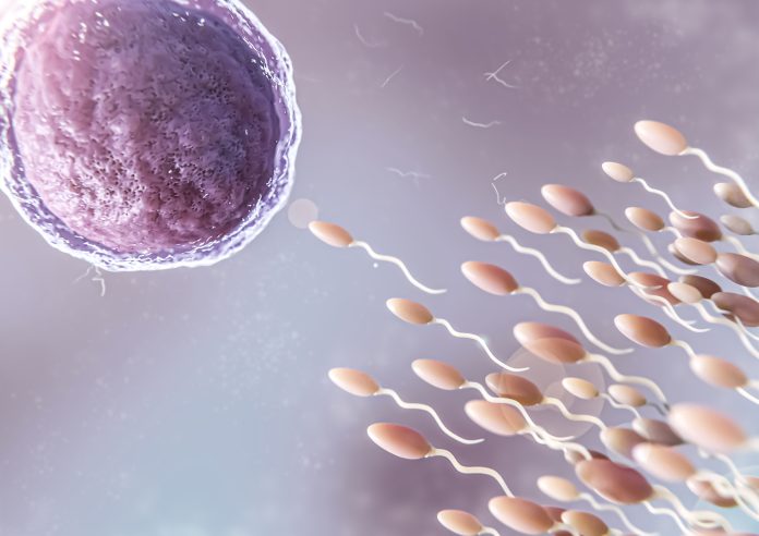 belo-conceito-de-fertilidade-em-renderizacao-3d