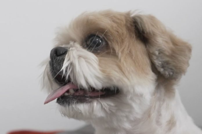 d801f0af-cf69-462c-8e33-0ecc5376bfb7.jpg-2025-08-19T134526.857-JUjcN0