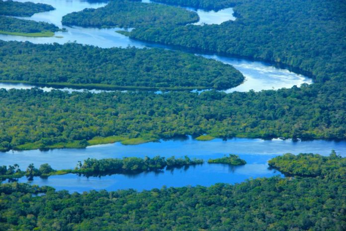 Imagem do WhatsApp de 2025-09-01 à(s) 15.36.44_d9c237ff