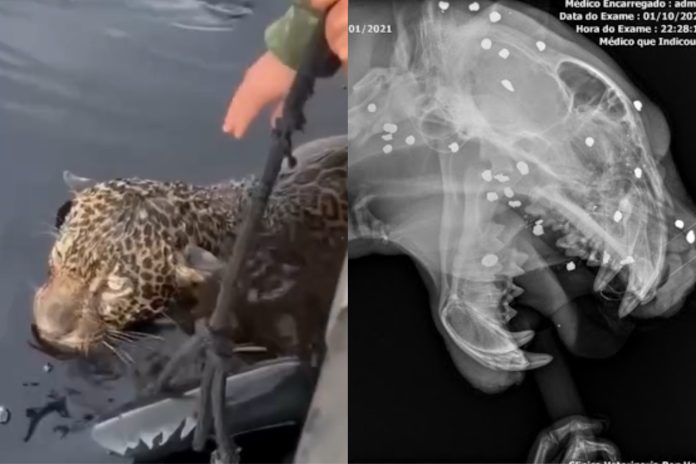 497F5052-CE14-4617-959C-1999D404F5B3