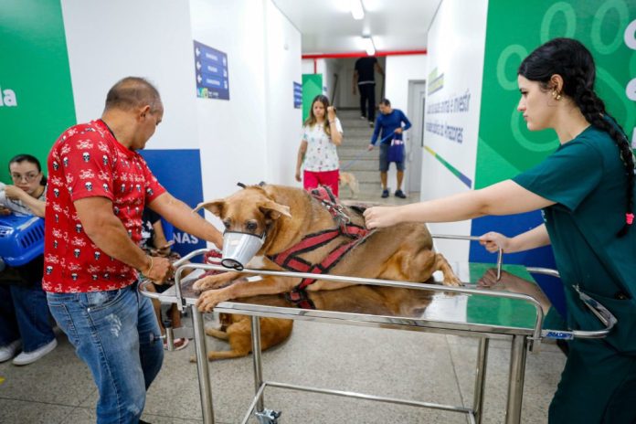 Balanco-Hospital-Veterinario_Foto_Antonio-Lima_Secom-2-1024x682