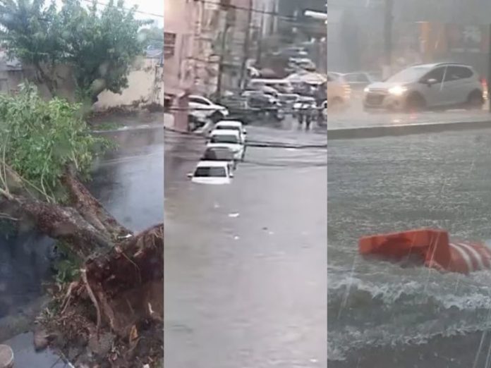 Design sem nome (27)