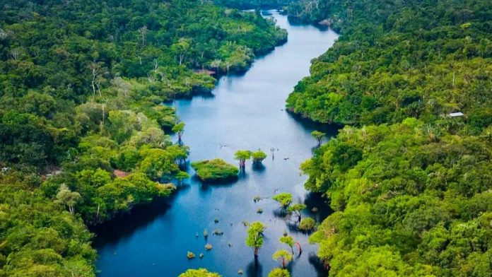 Imagem do WhatsApp de 2025-10-01 à(s) 15.54.54_a72007ff