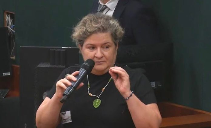 O trecho do meio da BR-319, considerado o mais crítico, segue sem previsão para início das obras de asfaltamento