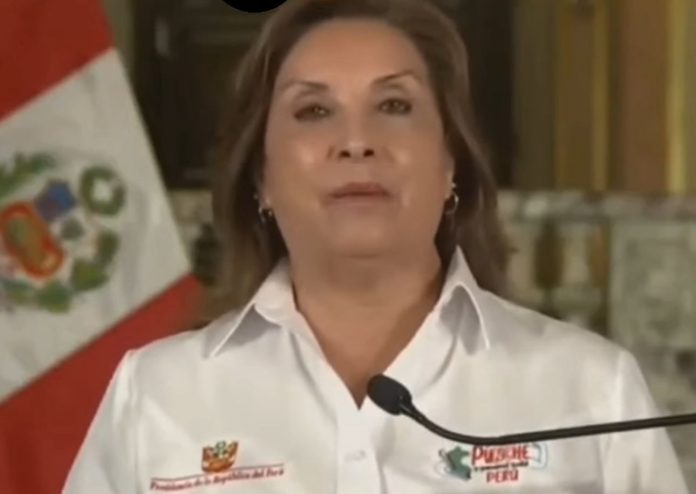 WhatsApp Image 2025-10-10 at 09.31.53