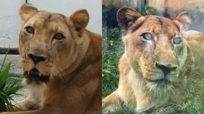 Imagem do WhatsApp de 2025-12-02 à(s) 10.02.51_e318a6e5