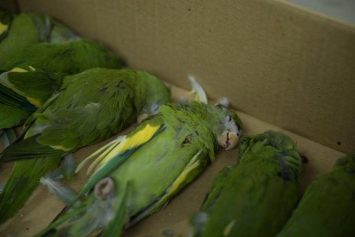 WhatsApp-Image-2025-12-27-at-18.57.26-1024x683