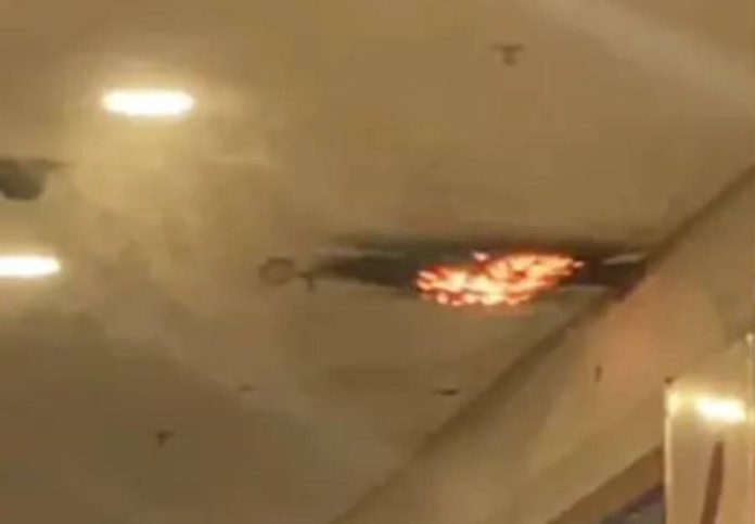 image.psd - 2025-12-19T225109.850