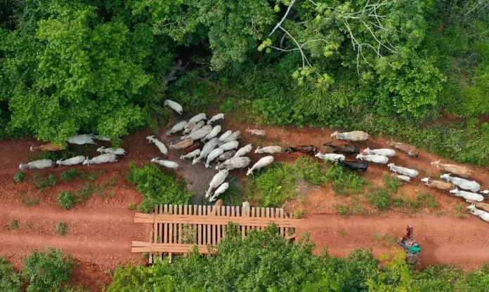 screen_c5fbfb260f2834ab_1765624006000