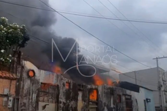 WhatsApp Image 2026-01-20 at 09.50.53