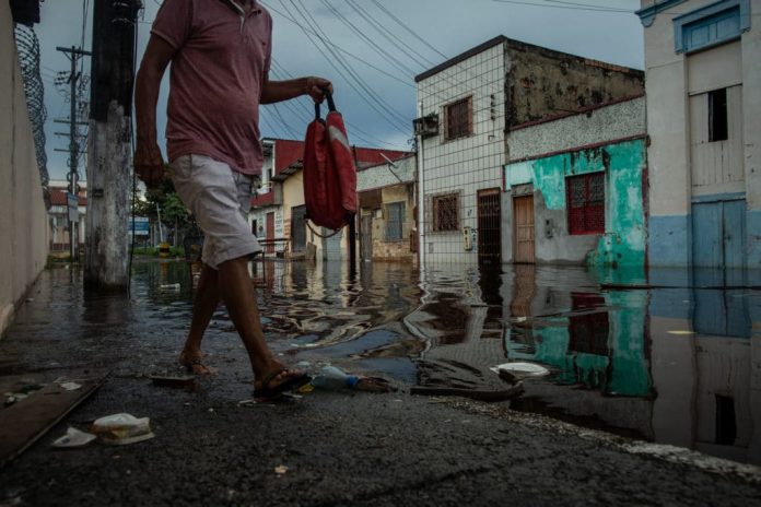 Foto Raphael Alves - Amazônia Real