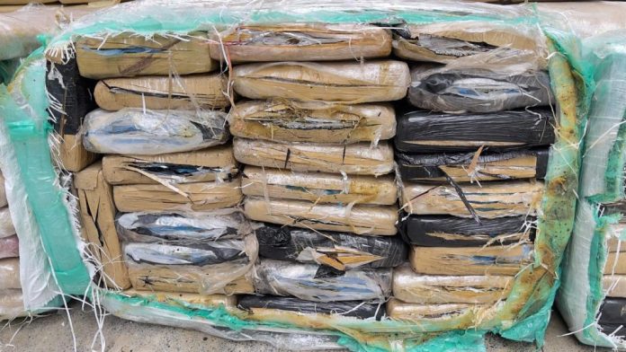 PCAM_MATERIAL-APREENDIDO-DENARC-E-CORE_FOTO-ERLON-RODRIGUES-1-1024x576